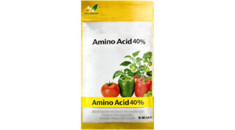 Compound Amino Acid Powder40%