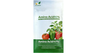 Compound Amion Acid Powder60%