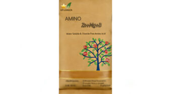 Zn B Mg Amino Acid Chelate