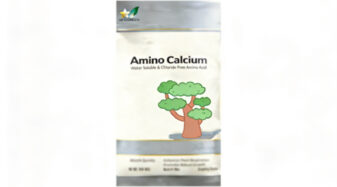Calcium Amino Acid Chelate