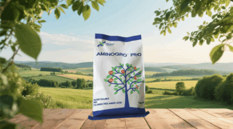 Zinc Amino Acid Chelate